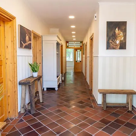 Liethe Comfortable Vakantiehuis